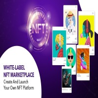 Whitelabel NFT Marketplace Development